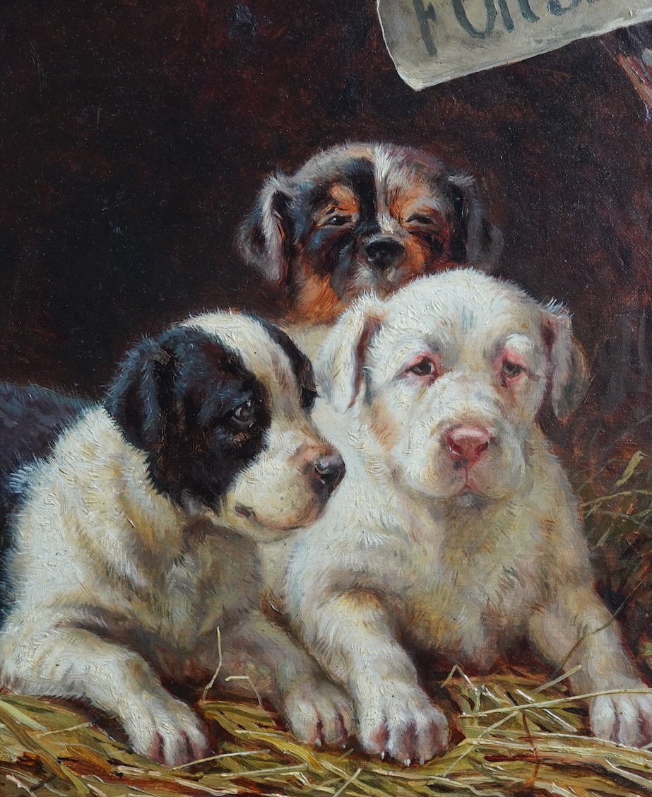 Arthur Charles Dodd, fl. 1878-1891, 'Dogs for sale'